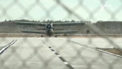 Info Martí | ¿Qué delitos podría encarar el piloto cubano que llegó a EEUU en una avioneta de fumigación? Info Martí | ¿Qué delitos podría encarar el piloto cubano que llegó a EEUU en una avioneta de fumigación?