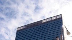 El reporte desde Nueva York de Carmen maría Rodriguez El reporte desde Nueva York de Carmen maría Rodriguez