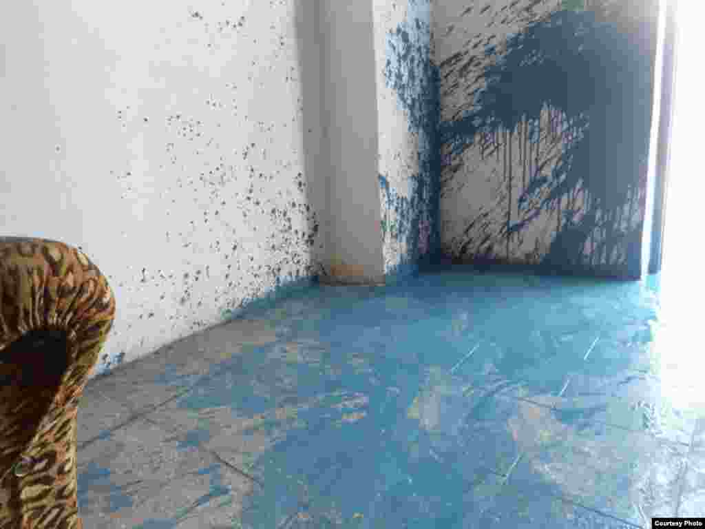 Hablemos Press divulga imágenes de activistas que fueron víctimas de actos de repudio y agresiones físicas por parte de las turbas y las autoridades policiales durante el mes de octubre.