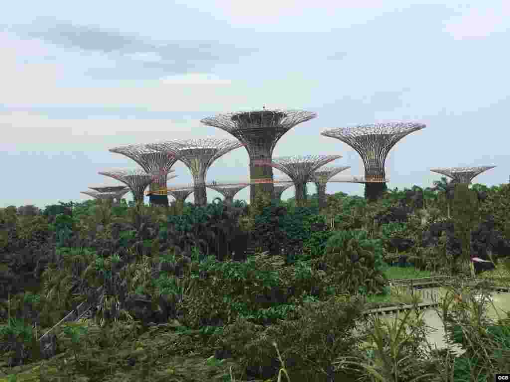 Singapur días ante la cumbre