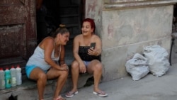 Régimen reconoce aumento de la violencia de género en Cuba Régimen reconoce aumento de la violencia de género en Cuba