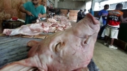 Carne de cerdo, un lujo en Cuba Carne de cerdo, un lujo en Cuba