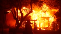 VIDEO Incendio forestal de rápida propagación calcina las colinas de Los Ángeles  VIDEO Incendio forestal de rápida propagación calcina las colinas de Los Ángeles