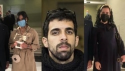 Premio Don Quijote de Periodismo: un galardón que apuntala la diversidad cubana Premio Don Quijote de Periodismo: un galardón que apuntala la diversidad cubana