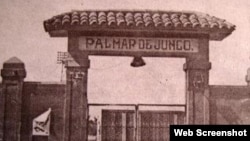 Estadio-Palmar-de-Junco