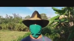 Carboneros solo ganan 113 pesos cubanos de salario al mes Carboneros solo ganan 113 pesos cubanos de salario al mes